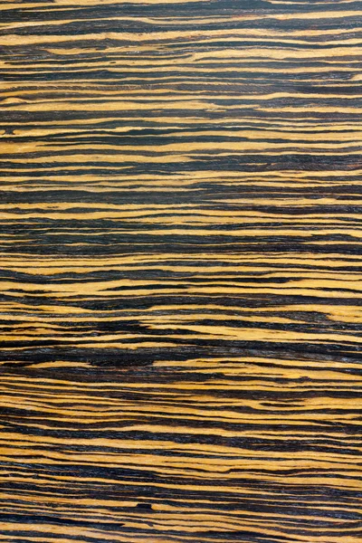 Textuur van echt hout — Stockfoto