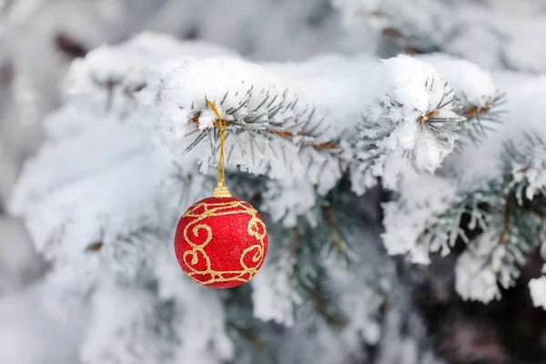 Bola de Navidad en el abeto — Foto de Stock