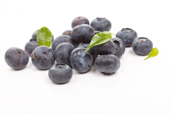 Friske blåbær – stockfoto