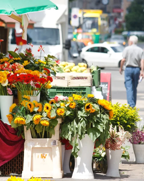Flowers at the flower market — Stock Photo, Image