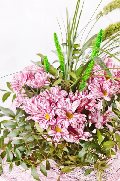 ช่อดอกไม้ที่สวยงามของ chrysanthemum — ภาพถ่ายสต็อก