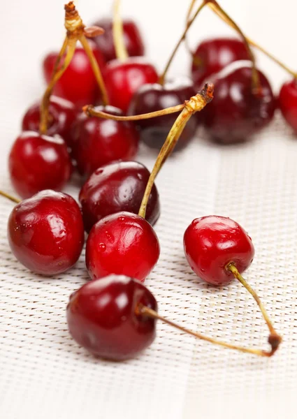 Tart with cherries — Stock Photo, Image
