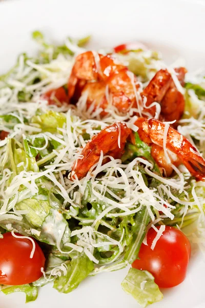Fersk salat med reker – stockfoto