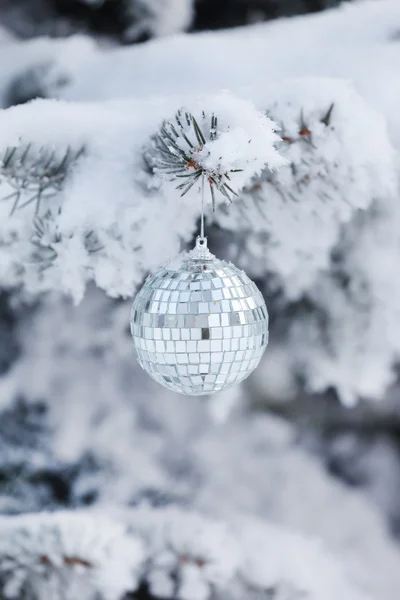 Fir Noel topu — Stok fotoğraf