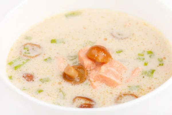 Суп из молока и грибов Коко — стоковое фото