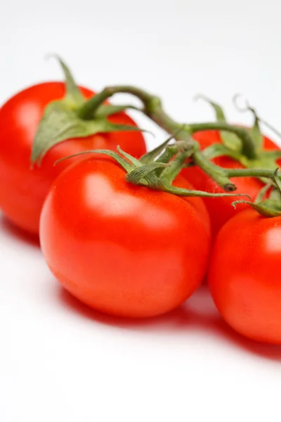 Friske tomater - Stock-foto