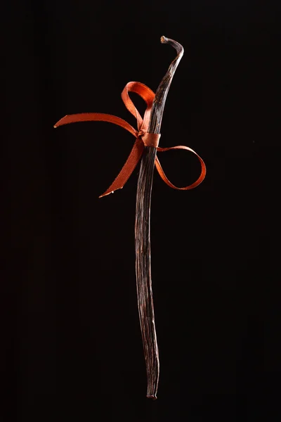 Siyah arka plan üzerine vanilya çekirdeği — Stok fotoğraf