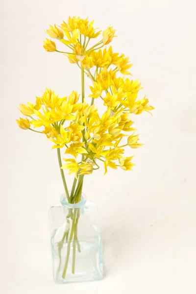 stock image Yellow flowers in the vase