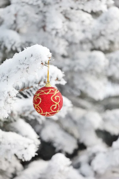 Karácsonyi labdát a fenyő — Stock Fotó