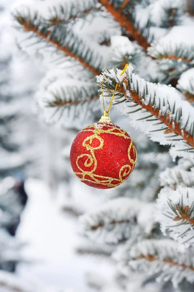 モミのクリスマス ボール — ストック写真
