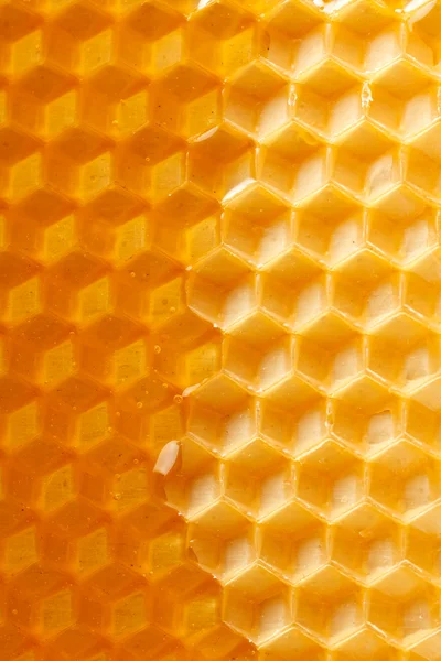 新鲜蜂蜜在梳子 图库图片