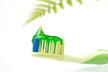 Herbal toothpaste clipart
