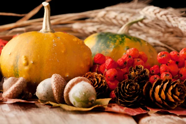 Sklizené dýně s podzim listí — Stock fotografie