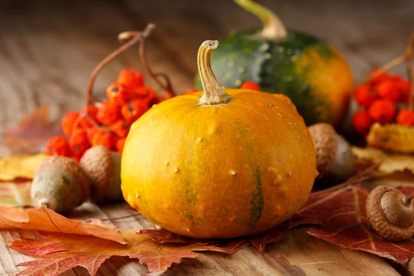 Harvested pumpkins with fall leaves — Stock Photo, Image