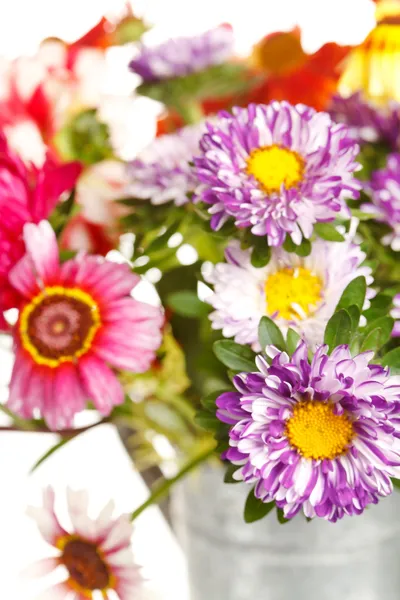 Colorful summer flowers — Stock Photo, Image