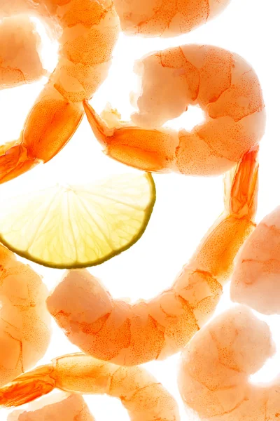 Shrimps auf dem weißen — Stockfoto
