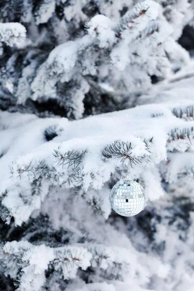 Christmas ball on the fir — Stock Photo, Image