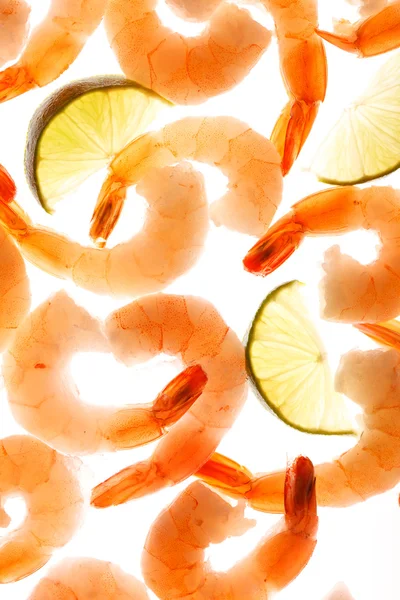 Shrimps on the white — Stock Photo, Image
