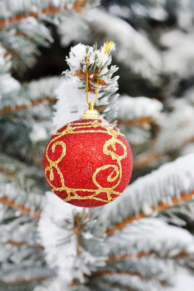 Palla di Natale sull'abete — Foto Stock