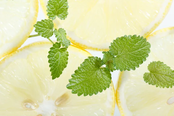 Citroner och mynta — Stockfoto