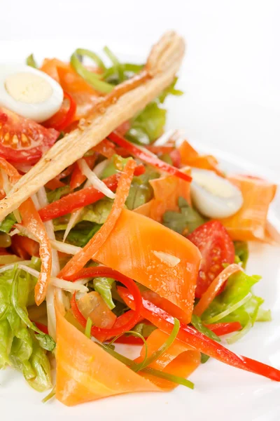 Vegetabilsk salat – stockfoto