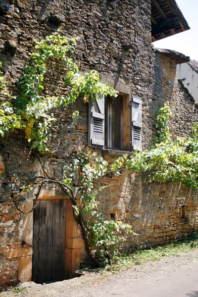 stock image Door in the ancient stone house