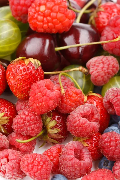 Различные виды ягод — стоковое фото