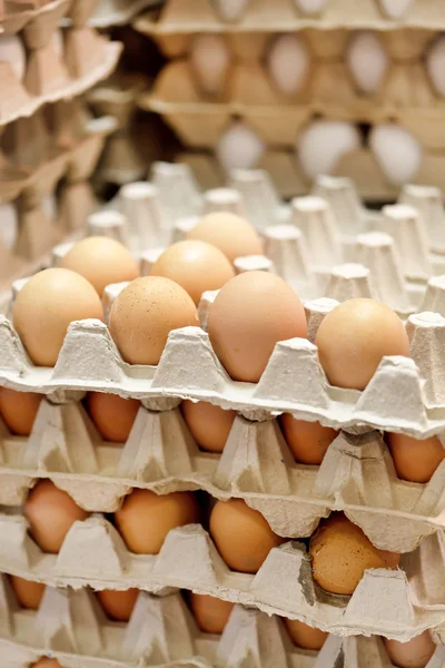 Huevos marrones —  Fotos de Stock