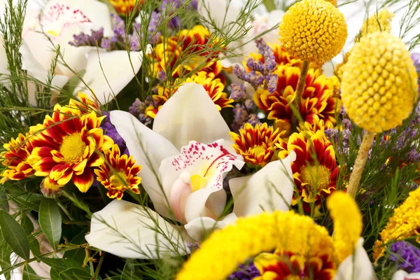 Schöne Blumen im Korb — Stockfoto