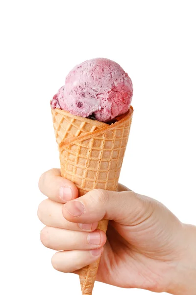 Berry dondurma — Stok fotoğraf