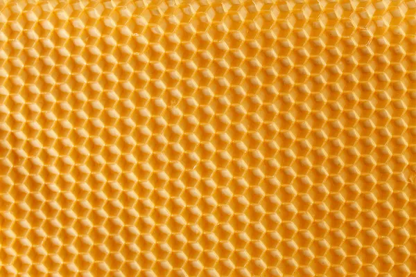 Fresh honey in comb — Stock Photo, Image