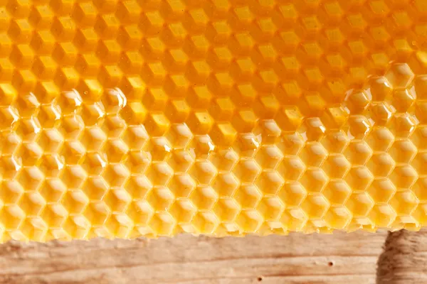 Čerstvý med hřeben — Stock fotografie