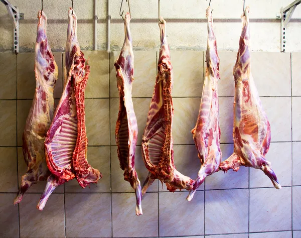 stock image Raw meat hanging