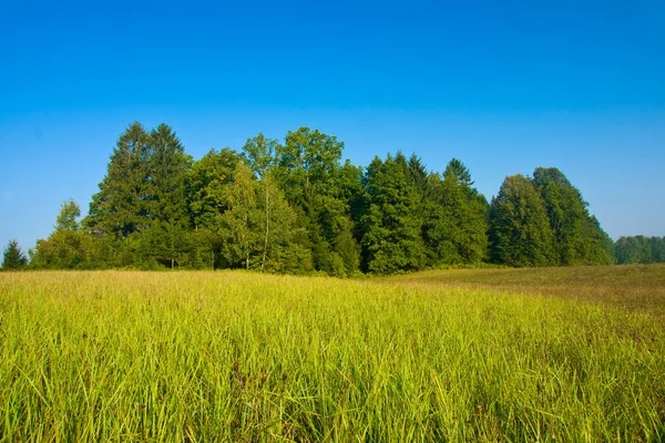 stock image Landscape