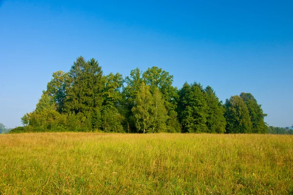 stock image Landscape