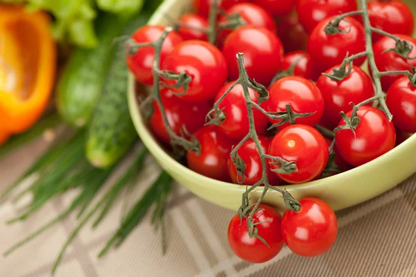 Close-up van cherry tomaten op de wijnstok — Stockfoto
