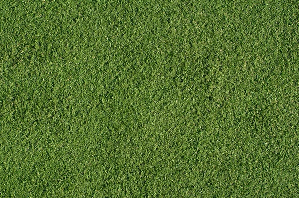 Tappeto erboso artificiale verde — Foto Stock