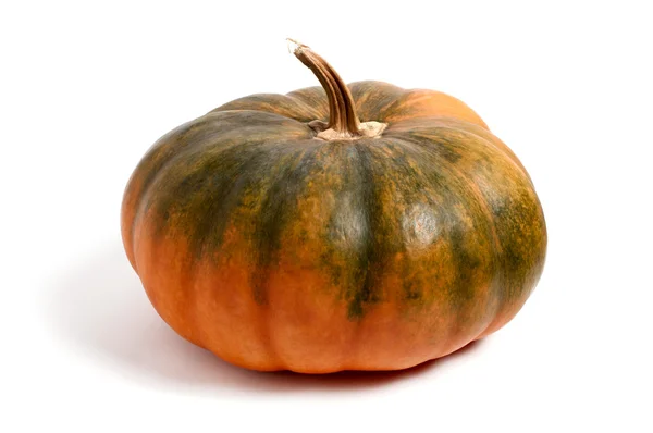 Ripe autumn pumpkin on a white background — Stock Photo, Image