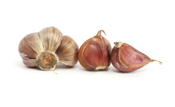 Garlic On White — Stock Photo, Image