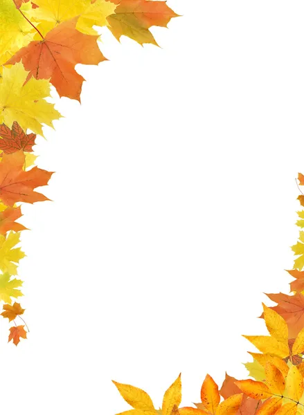 Okraj podzimních listů Stock Snímky