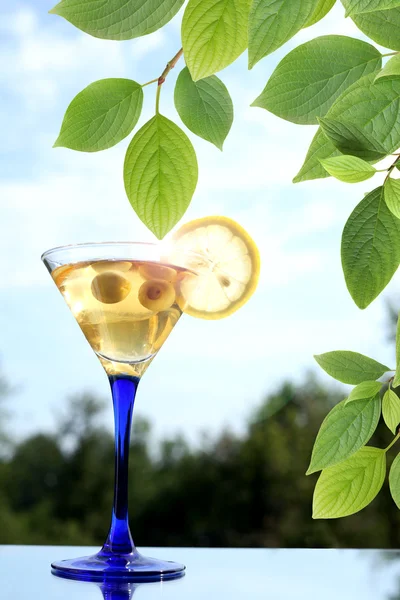 Cocktail serale — Foto Stock