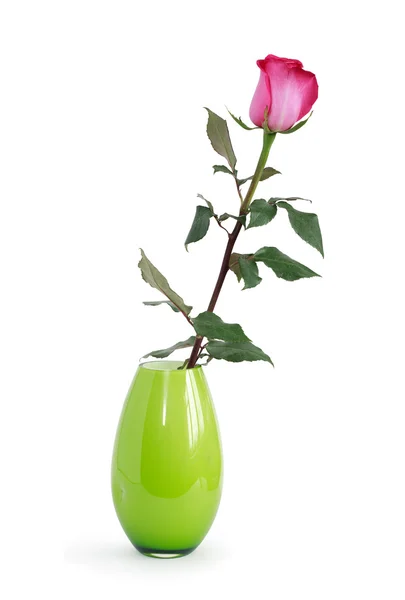 Роза в вазе — стоковое фото