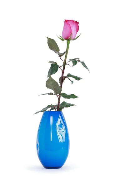 Rózsa vázában — Stock Fotó