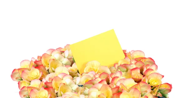 Mazzo di fiori con biglietto di auguri — Foto Stock