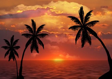 Gün batımında palmiye ağaçları silueti