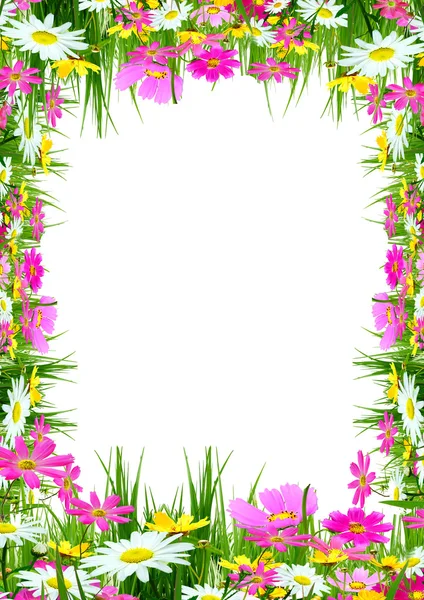 Tavaszi virágok és fű — Stock Fotó