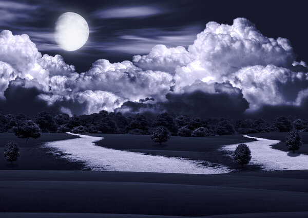 The full moon over a night glade