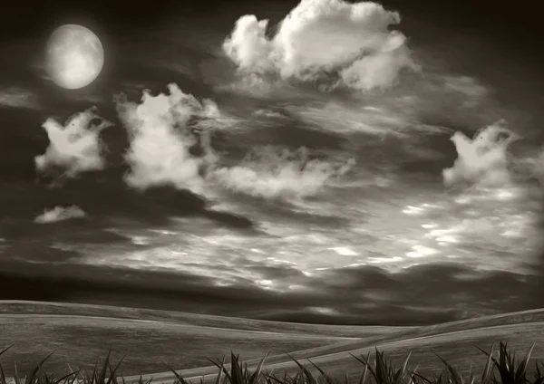 Ночная поляна — стоковое фото