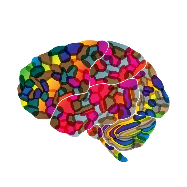 Cerveau humain, fond abstrait vectoriel — Image vectorielle