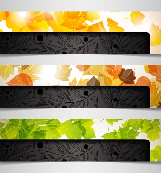 Banner hybrid autumn leaf combination abstract background — Stock Vector